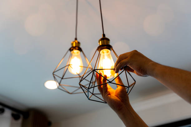 Best Affordable Electrician  in Fruitland, IA